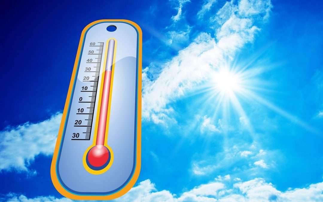 10 Things You Need to Know About Shipping in the Summer Heat
